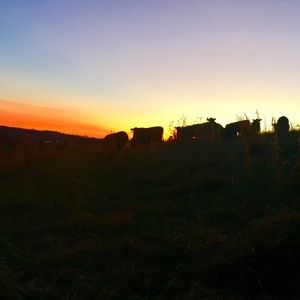 Meet your Posher, Rebecka